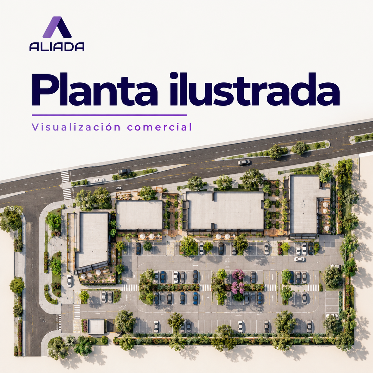 Planta ilustrada comercial