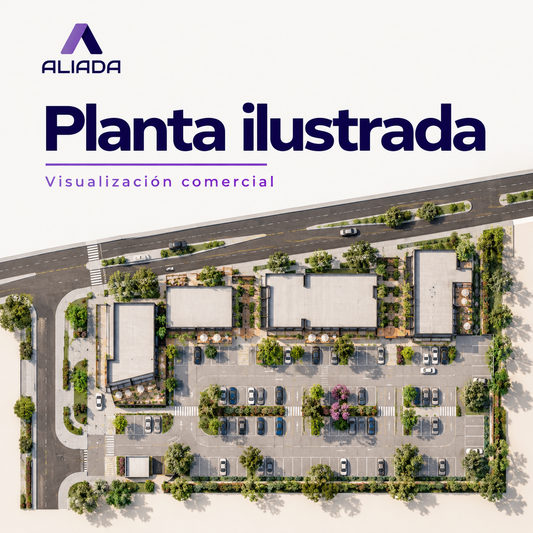 Planta ilustrada comercial