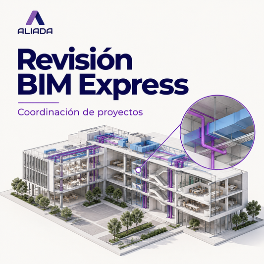 Revisión BIM Express
